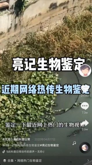 抖音7天吸粉111万，揭秘《无穷小亮》的涨粉科普日常！
