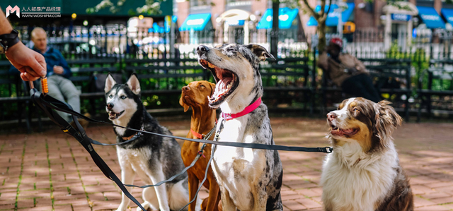 宠物、餐饮、装修、婚摄,线下门店商家如何玩转小红书? 宠物、餐饮、装修、婚摄,线下门店商家如何玩转小红书?