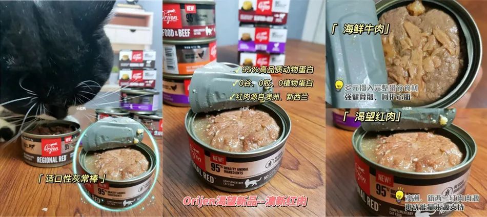 精致养宠潮流下，品牌小红书营销如何出圈？