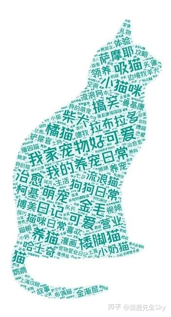 你在小红书的涨粉速度不如狗