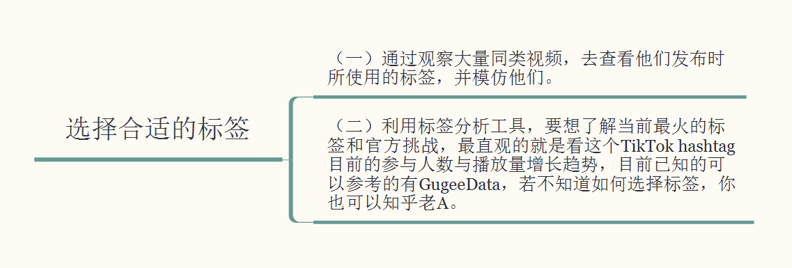 了解一下——海外抖音TikTok月涨粉100万技巧，老A纯分享 …