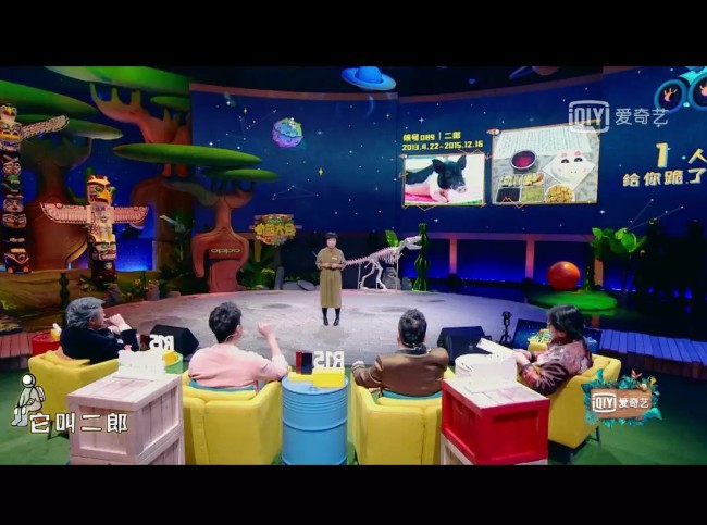 吴彤Q planet宠物纪念店铺怎么样?商品价格高吗?