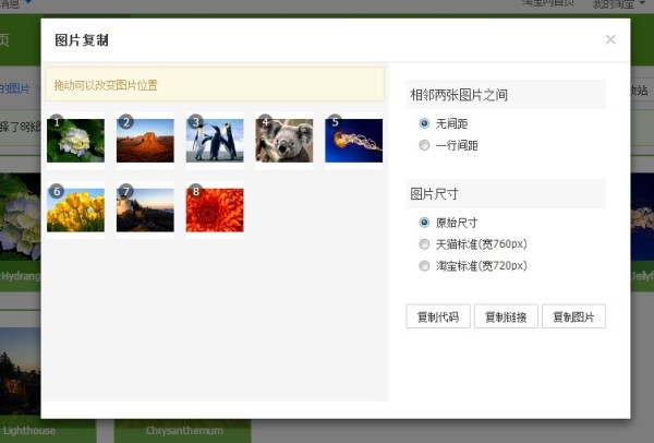 新手卖家必看：淘宝图片空间使用教程