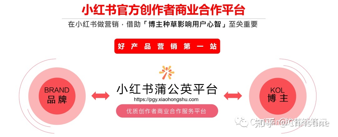 小红书有哪些营销工具和推广方式？看这一篇就够了