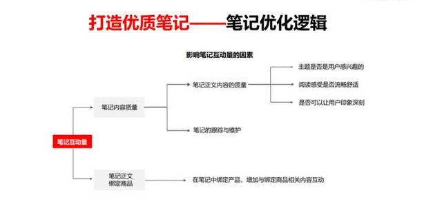 常见小红书运营问题解答!0基础小白运营攻略解析 常见小红书运营问题解答!0基础小白运营攻略解析