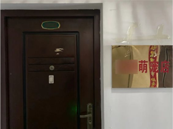 抖音快手卖猫狗，0门槛，月销30万！