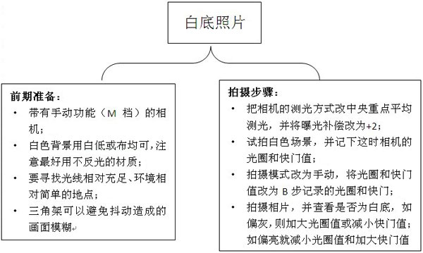 淘宝白底图怎么拍摄?淘宝白底图拍摄技巧