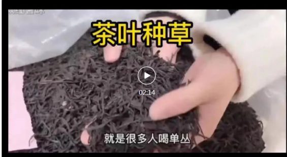 2023年什么行业最好做？什么项目最赚钱？