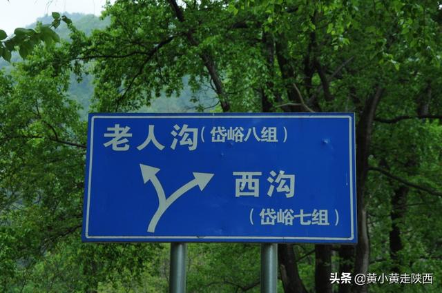 “五一”假期去哪？西安这条峪能开车进山，25公里山水画廊美极了