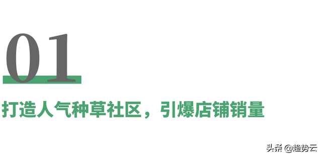 在小红书种草，在抖音、淘宝赚钱