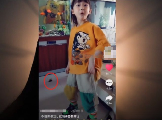 了解一下——海外抖音TikTok月涨粉100万技巧，老A纯分享 …