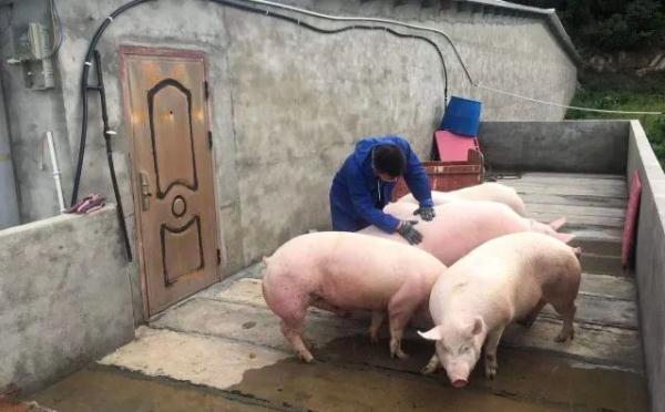 80后帅小伙辞去公务员后年入700万!妈妈当初因为这事气了很久…… 80后帅小伙辞去公务员后年入700万!妈妈当初因为这事气了很久……