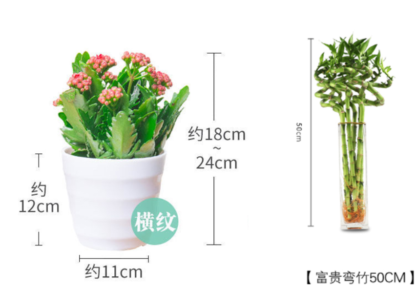 京东新增花卉绿植商品管理规范
