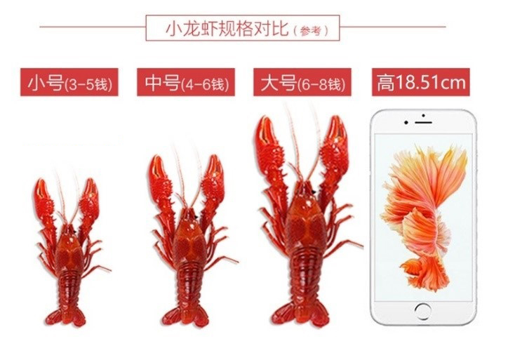 京东发布关于小龙虾商品品质管理规范