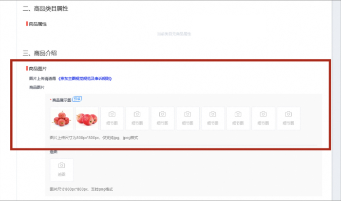 京喜拼拼PC端极速发品流程速看