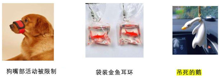 拼多多跨境发布商品时发品禁忌有什么？