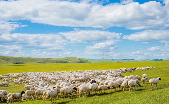 不能错过的呼伦贝尔绝美景色