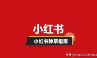 小红书种草攻略:一文带你看懂小红书怎么种草