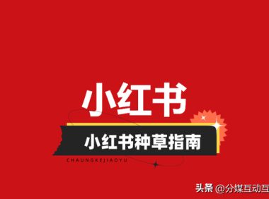 小红书种草攻略:一文带你看懂小红书怎么种草