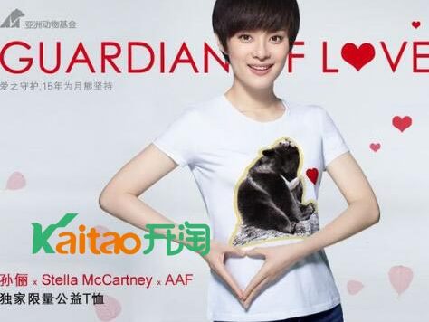 孙俪网络商店地址在哪里?