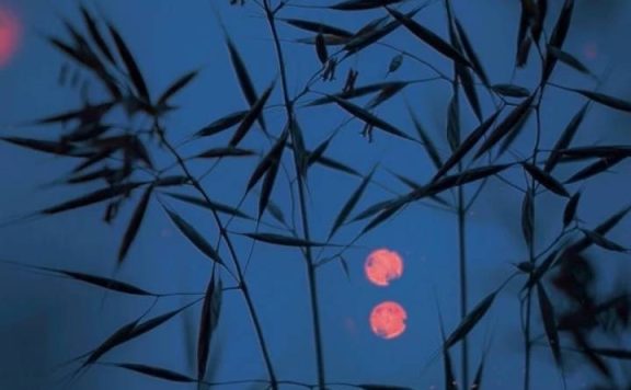 超级推荐资源位溢价出价越高越好吗？如何设置？