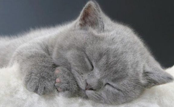 拼多多改销量后为什么一直在审核中？改销量后被清零了怎么办?