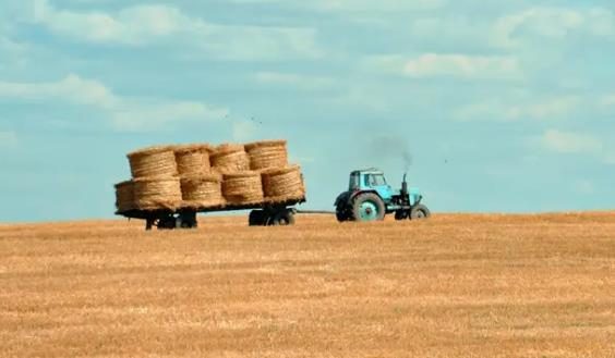 我在抖音卖牛粪，年入百万