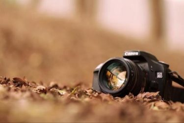 亚马逊调价幅度过高会怎样（亚马逊网的价格定位策略）