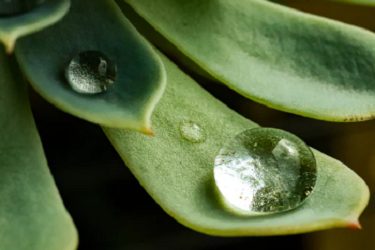 淘宝虚拟物品几天自动确认收货？多久自动评价？