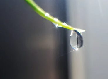 什么叫网店运营？买家喜欢哪类店铺？