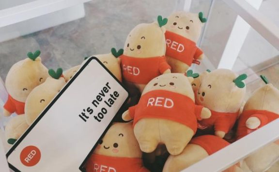 弄懂这5个小红书推广方案步骤，省掉你50%的营销时间