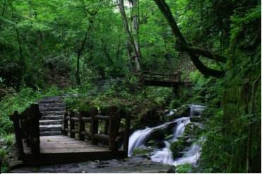 ps淘宝图片处理教程：ps怎么羽化图片?