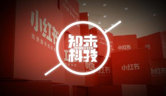 种的草还是挖的坑？流量焦虑下的小红书未来几何