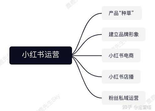 企业的小红书运营团队组织架构设计方案