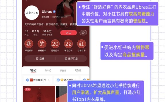 小红书营销案例|内衣品牌黑马——Ubras的爆火秘诀