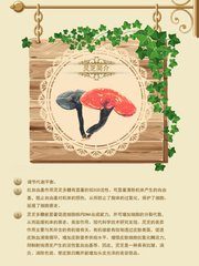 淘宝店铺怎么做详情页?