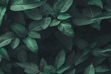 淘宝权重如何提升？有哪些方法？