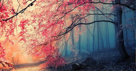 新手怎么装修淘宝店铺?