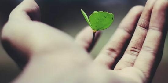 深谈抖音KOL打造逻辑,《毒角SHOW》背后的运营策略