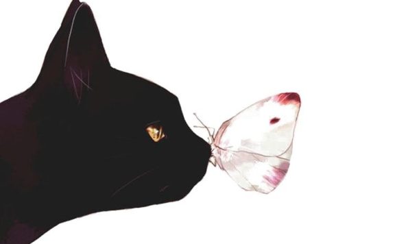 淘宝宝贝详情页制作技巧是什么？怎么达到高转化效果？