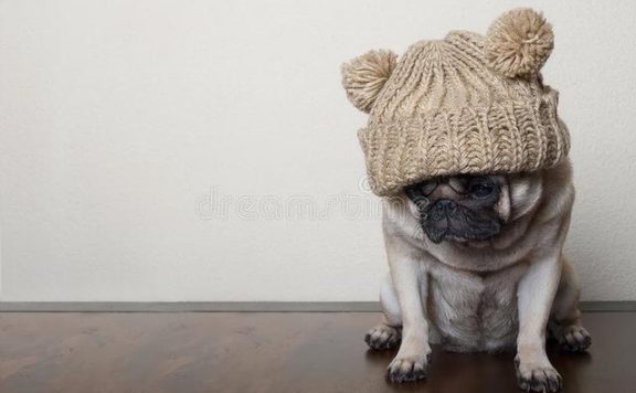 小红书打卡第二天（种草笔记成功4步曲）