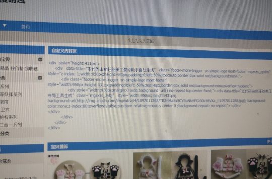 淘宝自定义代码不显示图片是怎么回事？