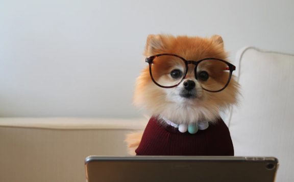 淘宝付款方式怎么设置？如何更改？