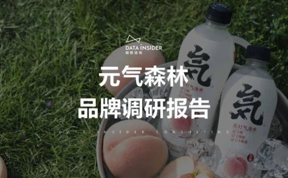 元气森林品牌营销方案