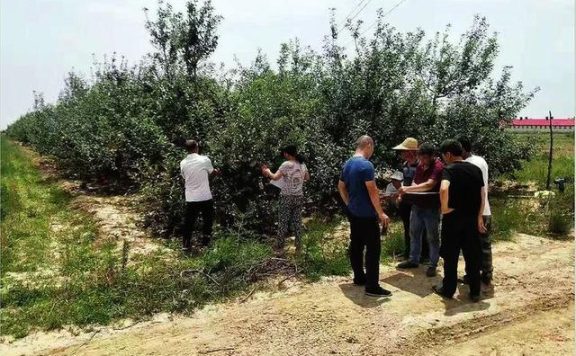 农业保险为农民撑起“保护伞”——陕西省农业保险推广现状调查