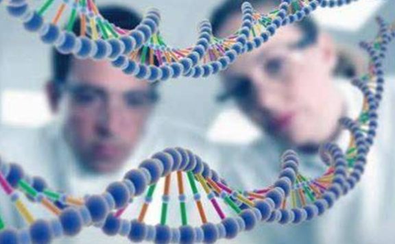 淘宝提升收藏加购多少钱？