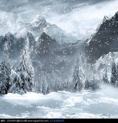 淘宝主图有什么要求?2017淘宝图片尺寸要求