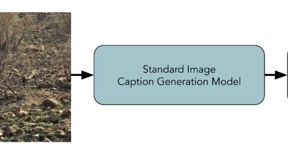 今天起，种草小红书的多模态AI技术