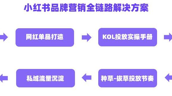 用户心智洞察｜小红书品牌营销全链路解决方案（一）