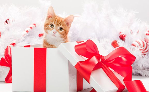 超级推荐基础出价是怎么计算的?计算方式介绍!